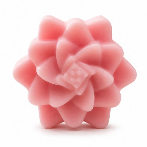 Peony Blush – The Signature