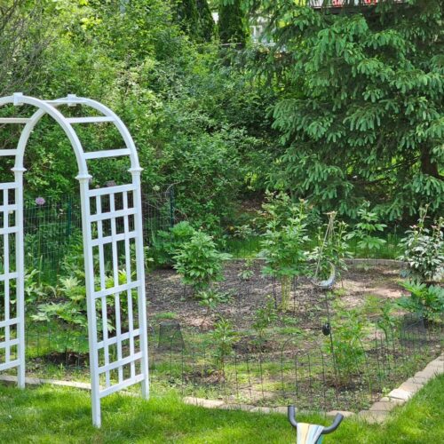 A Quiet Love for Gardening