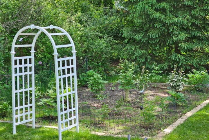 A Quiet Love for Gardening